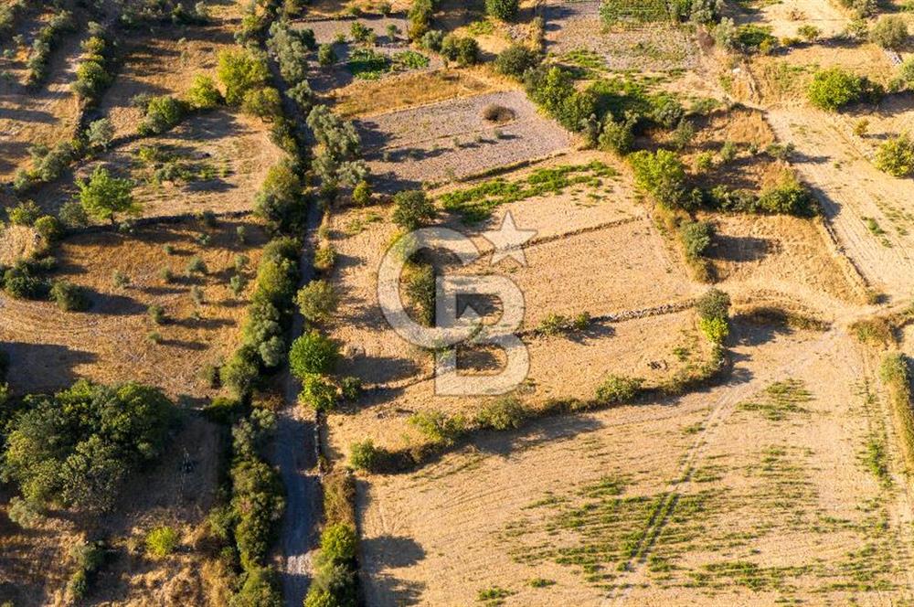 MİLAS HASANLAR KÖYCİVARI SU KUYUSU VE KADASTRAL YOL CEPHELİ