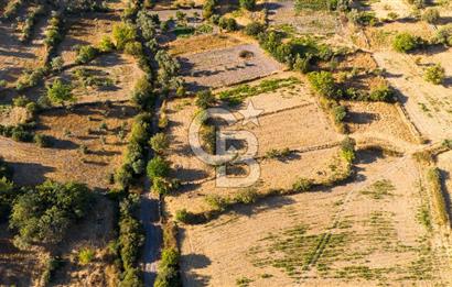 MİLAS HASANLAR KÖYCİVARI SU KUYUSU VE KADASTRAL YOL CEPHELİ