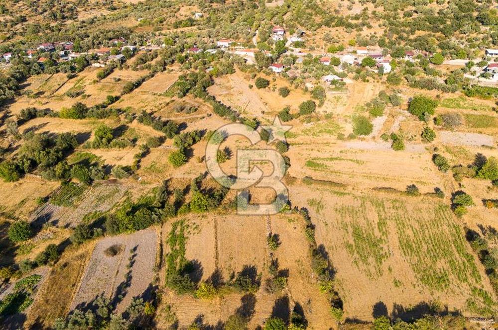 MİLAS HASANLAR KÖYCİVARI SU KUYUSU VE KADASTRAL YOL CEPHELİ