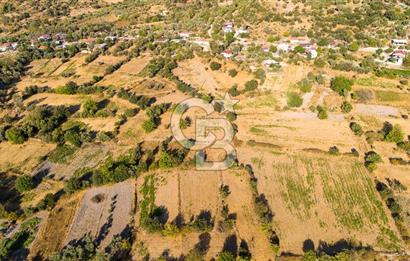 MİLAS HASANLAR KÖYCİVARI SU KUYUSU VE KADASTRAL YOL CEPHELİ