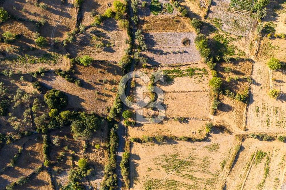 MİLAS HASANLAR KÖYCİVARI SU KUYUSU VE KADASTRAL YOL CEPHELİ