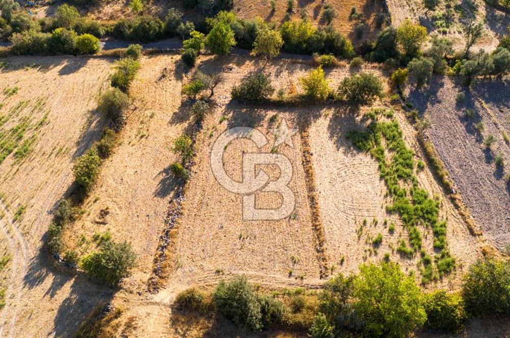 MİLAS HASANLAR KÖYCİVARI SU KUYUSU VE KADASTRAL YOL CEPHELİ