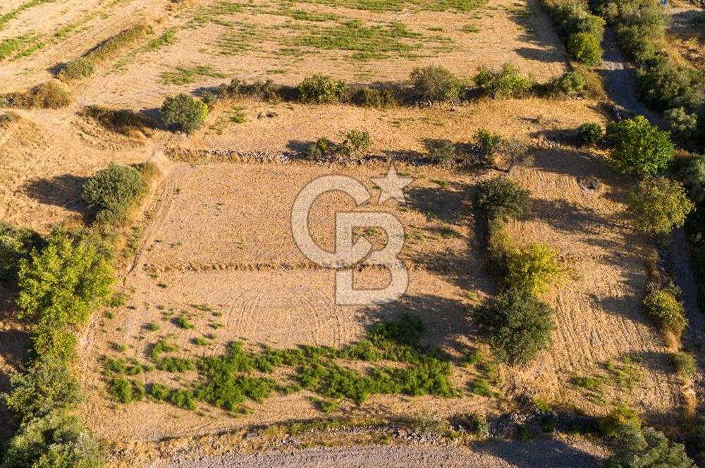 MİLAS HASANLAR KÖYCİVARI SU KUYUSU VE KADASTRAL YOL CEPHELİ