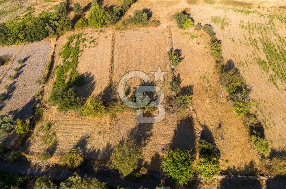 MİLAS HASANLAR KÖYCİVARI SU KUYUSU VE KADASTRAL YOL CEPHELİ