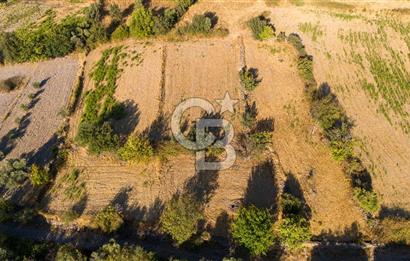 MİLAS HASANLAR KÖYCİVARI SU KUYUSU VE KADASTRAL YOL CEPHELİ