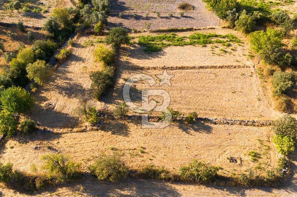 MİLAS HASANLAR KÖYCİVARI SU KUYUSU VE KADASTRAL YOL CEPHELİ