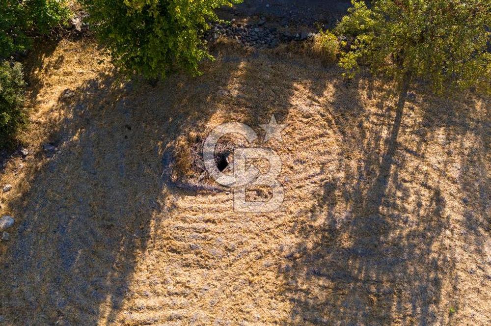 MİLAS HASANLAR KÖYCİVARI SU KUYUSU VE KADASTRAL YOL CEPHELİ