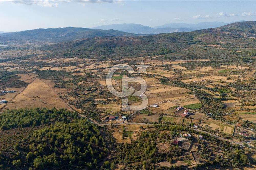 MİLAS HASANLAR KÖYCİVARI SU KUYUSU VE KADASTRAL YOL CEPHELİ