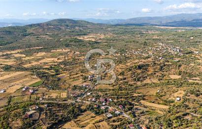 MİLAS HASANLAR KÖYCİVARI SU KUYUSU VE KADASTRAL YOL CEPHELİ