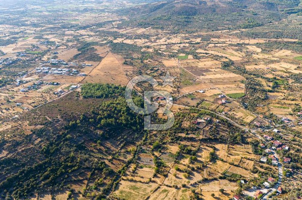 MİLAS HASANLAR KÖYCİVARI SU KUYUSU VE KADASTRAL YOL CEPHELİ