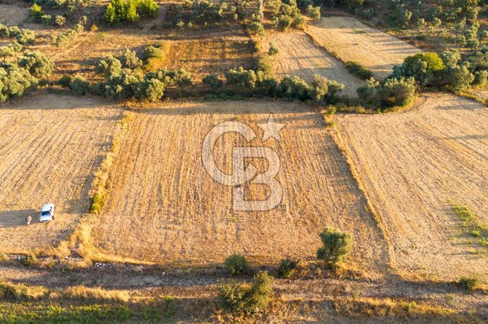 MİLAS HASANLAR 3067M2 ULAŞIM YOLU OLAN YOLA SIFIR YATIRIMLIK TARLA