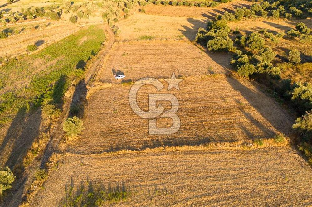 MİLAS HASANLAR 3067M2 ULAŞIM YOLU OLAN YOLA SIFIR YATIRIMLIK TARLA