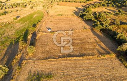 MİLAS HASANLAR 3067M2 ULAŞIM YOLU OLAN YOLA SIFIR YATIRIMLIK TARLA