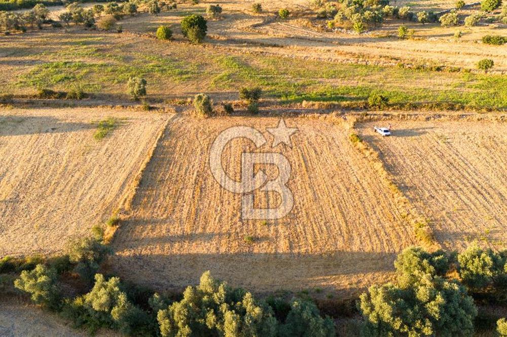 MİLAS HASANLAR 3067M2 ULAŞIM YOLU OLAN YOLA SIFIR YATIRIMLIK TARLA