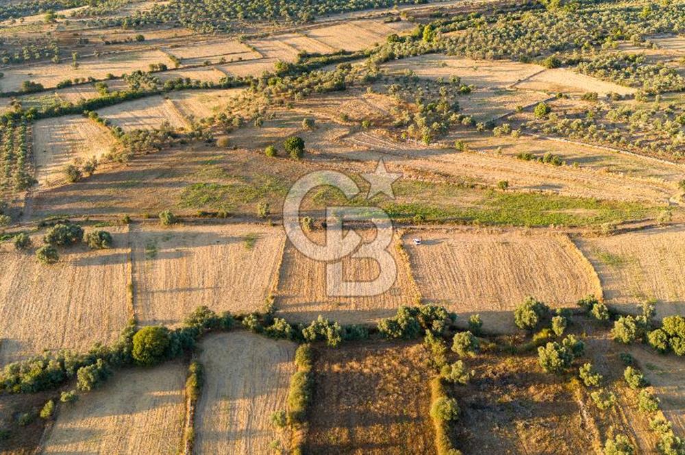 MİLAS HASANLAR 3067M2 ULAŞIM YOLU OLAN YOLA SIFIR YATIRIMLIK TARLA