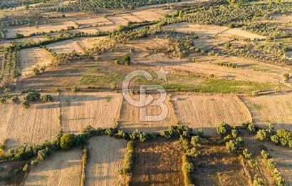 MİLAS HASANLAR 3067M2 ULAŞIM YOLU OLAN YOLA SIFIR YATIRIMLIK TARLA