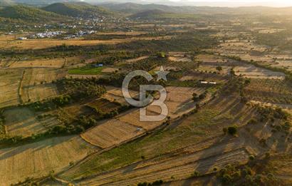 MİLAS HASANLAR 3067M2 ULAŞIM YOLU OLAN YOLA SIFIR YATIRIMLIK TARLA