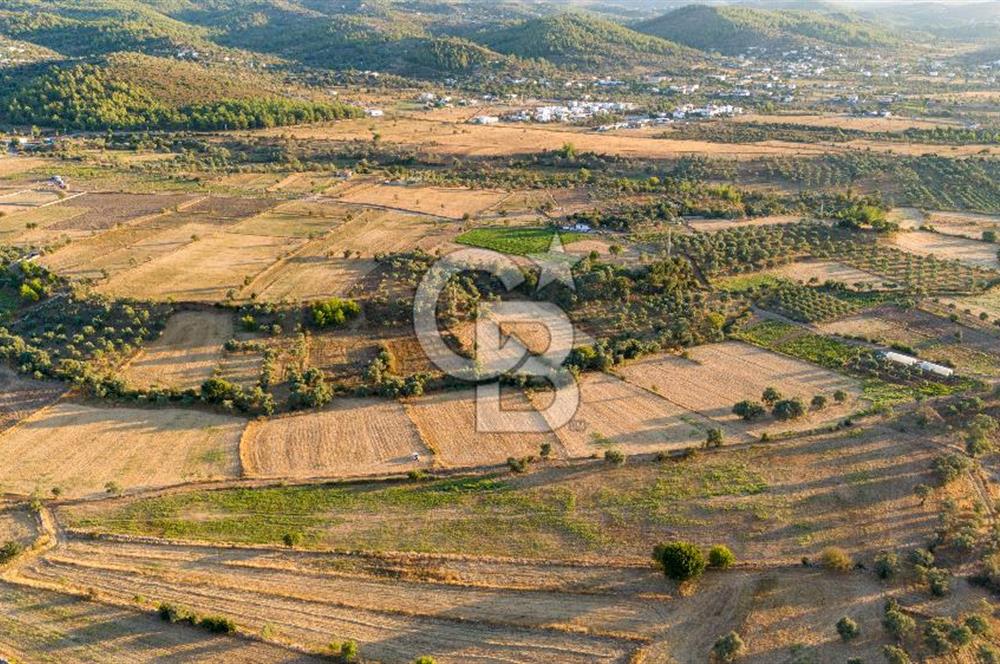 MİLAS HASANLAR 3067M2 ULAŞIM YOLU OLAN YOLA SIFIR YATIRIMLIK TARLA