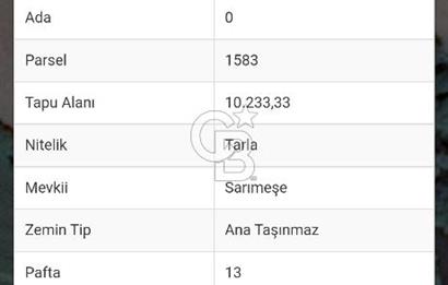 Tekirdağ,Muratlı öğrenci yurdu yakını tarla