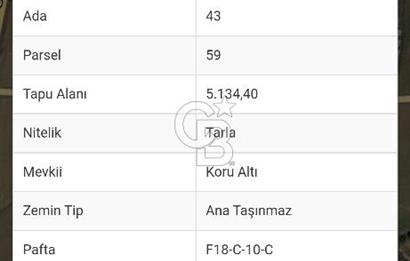 Tekirdağ,Muratlı,Korualtı mevkinde ,Ünv karşısında tarla