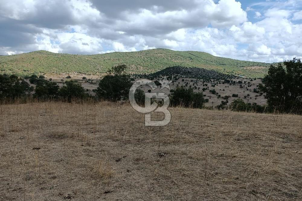 Balıkesir/Edremit Yolu Üzerinde Tarım ve Ticari Faaliyet İçin Uygun Tarla