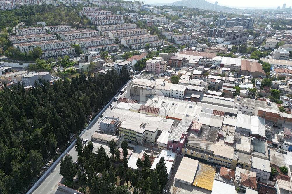 İZMİR BORNOVA ÇAMDİBİNDE 232 m2 ARSA İÇİNDE SATILIK 2+1 MÜSTAKİL EV