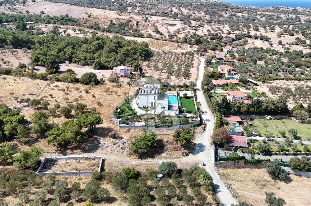 Foça Kozbeyli'de Doğa İle İç İçe 640 m2 Satılık Yatırımlık Tarla