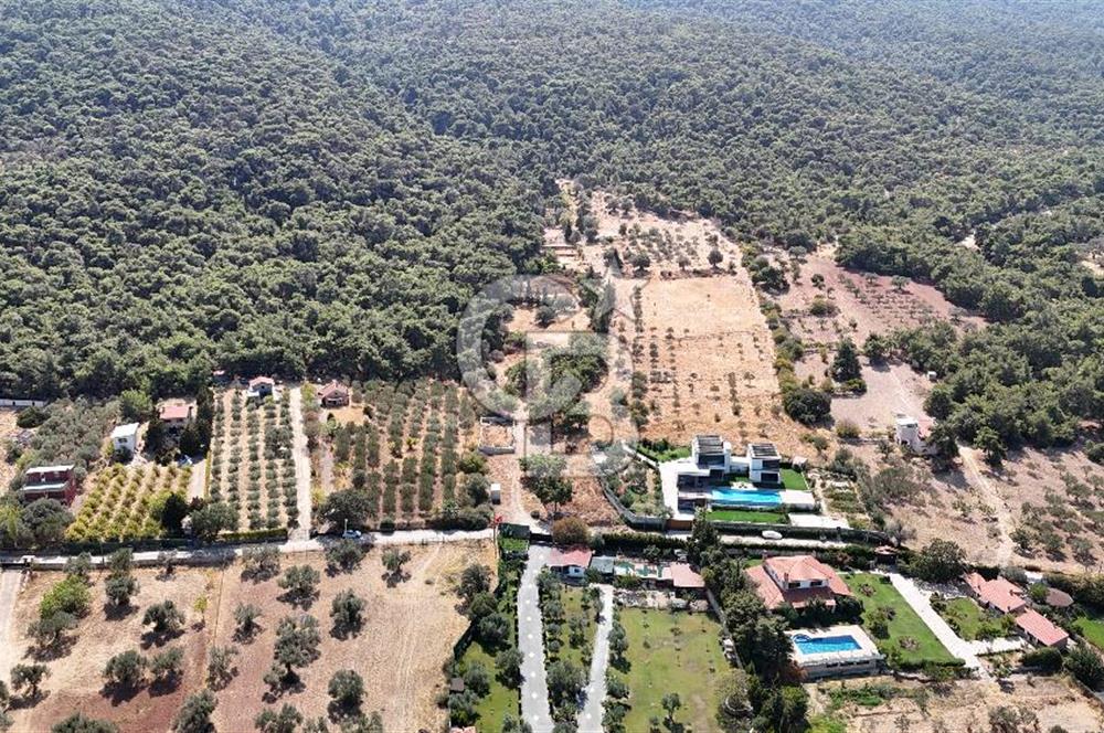 Foça Kozbeyli'de Doğa İle İç İçe 640 m2 Satılık Yatırımlık Tarla