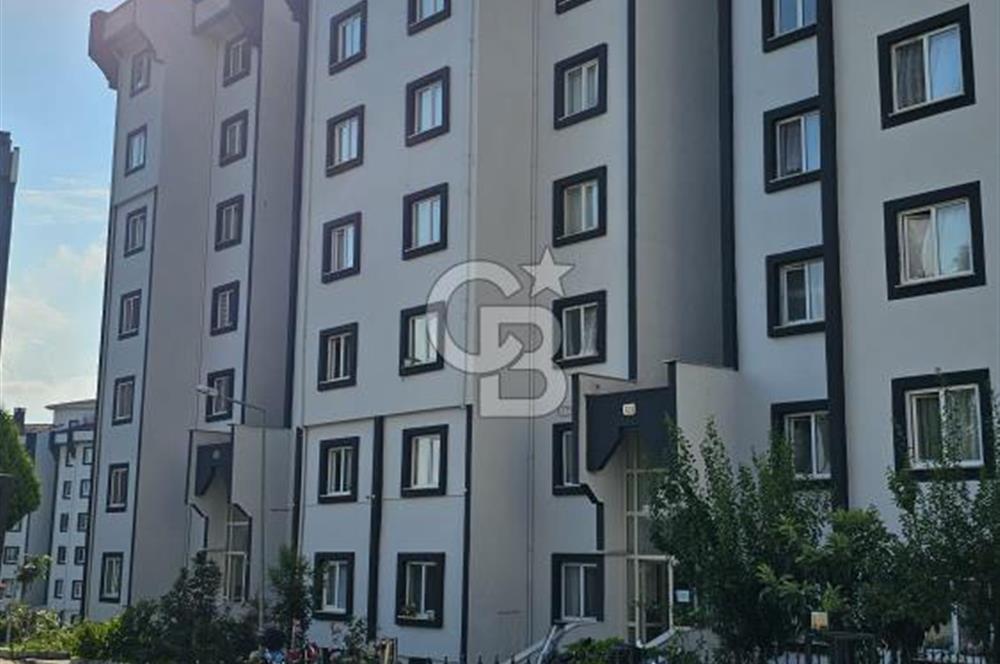 ORDU ESKİPAZAR TOKİDE SİTE İÇİ KİRALIK 2+1 DAİRE