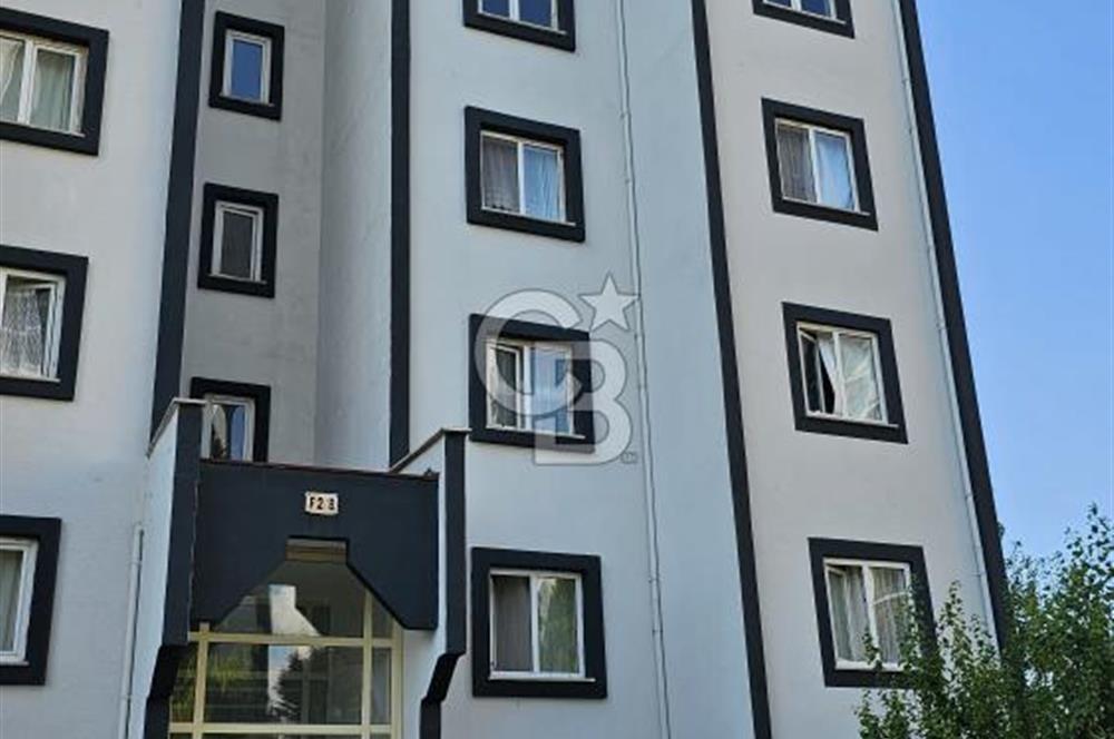 ORDU ESKİPAZAR TOKİDE SİTE İÇİ KİRALIK 2+1 DAİRE