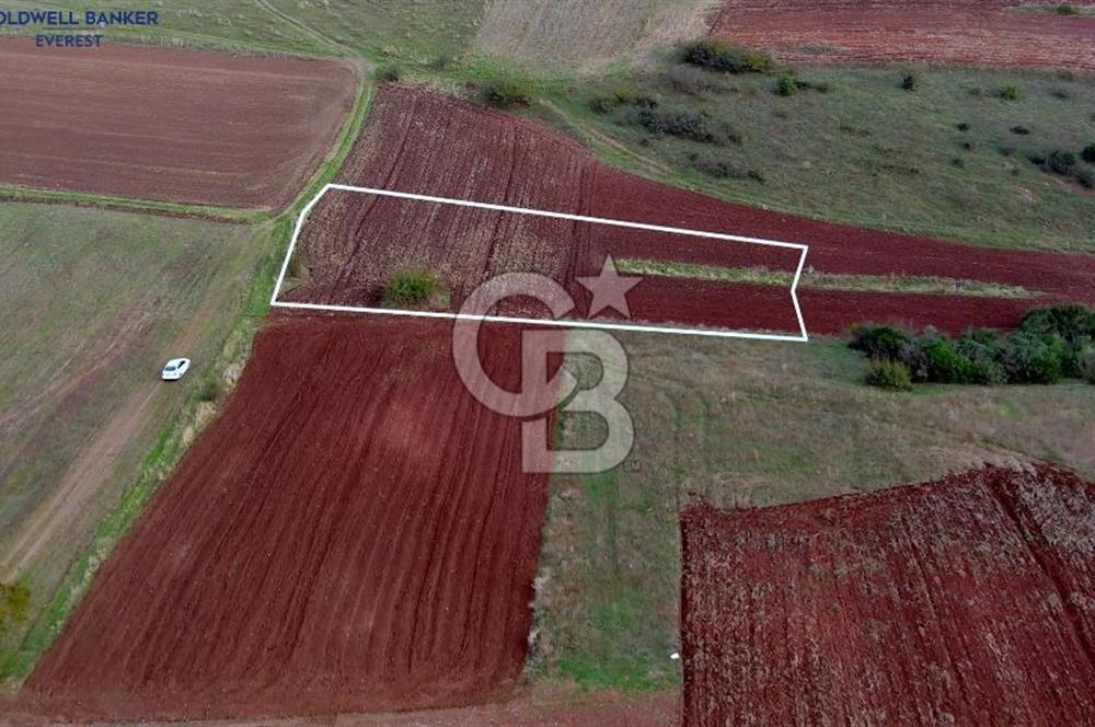 HÜRRİYET DAĞKORUSUNDA MUHTEŞEM KONUMDA YATIRIMLIK ARAZİ