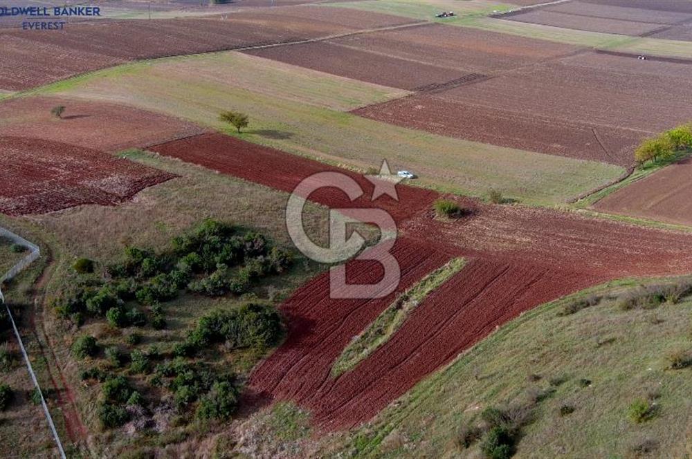 HÜRRİYET DAĞKORUSUNDA MUHTEŞEM KONUMDA YATIRIMLIK ARAZİ