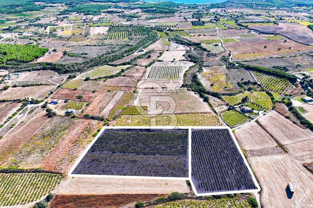 ÇANAKKALE BOZCAADA ÇAYIR MEVKİİ'NDE 17226 M2 SATILIK ARSA