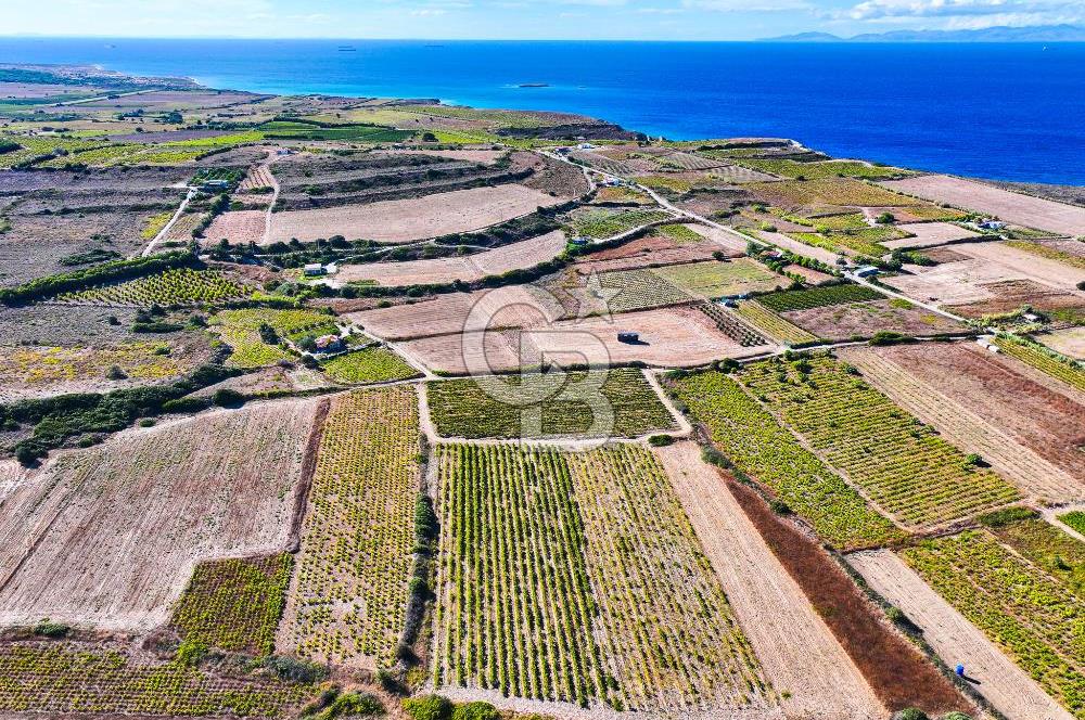 ÇANAKKALE BOZCAADA ÇAYIR MEVKİİ'NDE 17226 M2 SATILIK ARSA