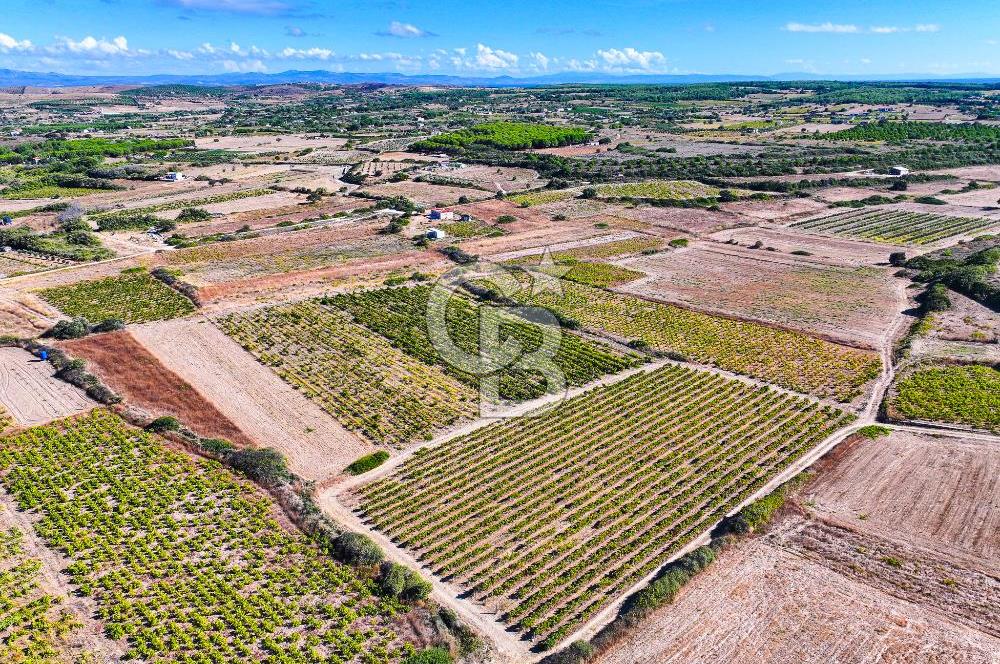 ÇANAKKALE BOZCAADA ÇAYIR MEVKİİ'NDE 17226 M2 SATILIK ARSA