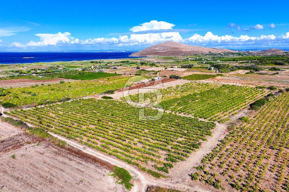 ÇANAKKALE BOZCAADA ÇAYIR MEVKİİ'NDE 17226 M2 SATILIK ARSA