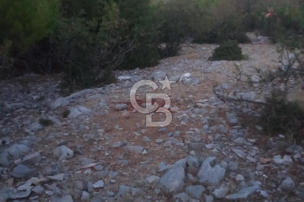 Muğla Denizova'da 827 m2 satılık tarla 