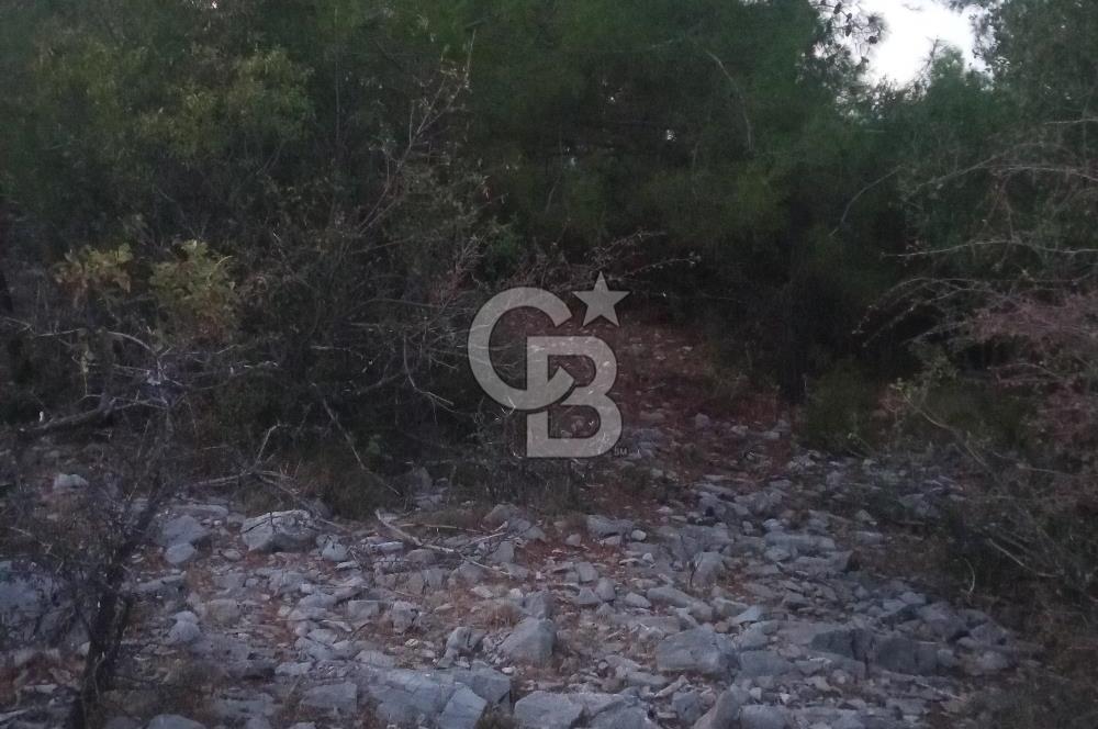 Muğla Denizova'da 827 m2 satılık tarla 