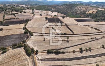 BALIKESİR CİNGE DE FIRSAT ARSA KÖYLERE ÇOK YAKIN VERİMLİ ARAZİ