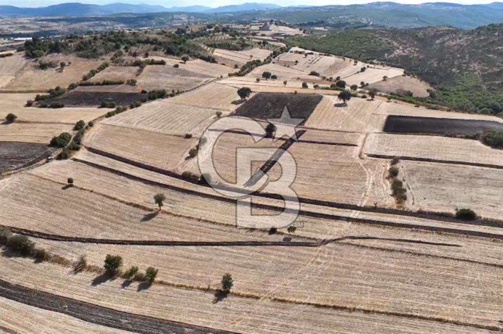 BALIKESİR CİNGE DE FIRSAT ARSA KÖYLERE ÇOK YAKIN VERİMLİ ARAZİ