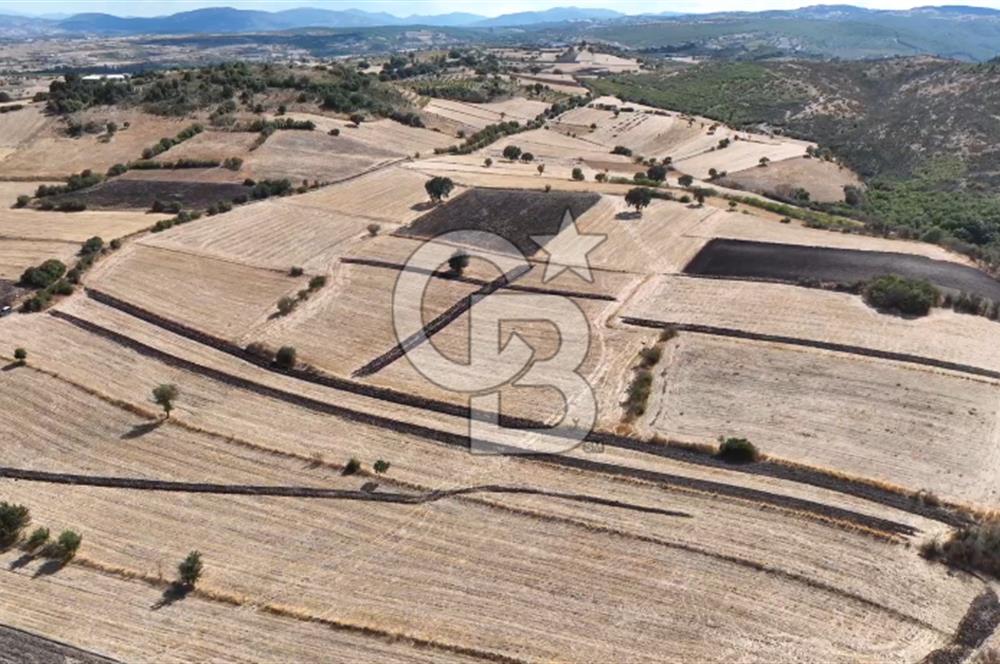 BALIKESİR CİNGE DE FIRSAT ARSA KÖYLERE ÇOK YAKIN VERİMLİ ARAZİ