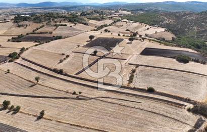 BALIKESİR CİNGE DE FIRSAT ARSA KÖYLERE ÇOK YAKIN VERİMLİ ARAZİ