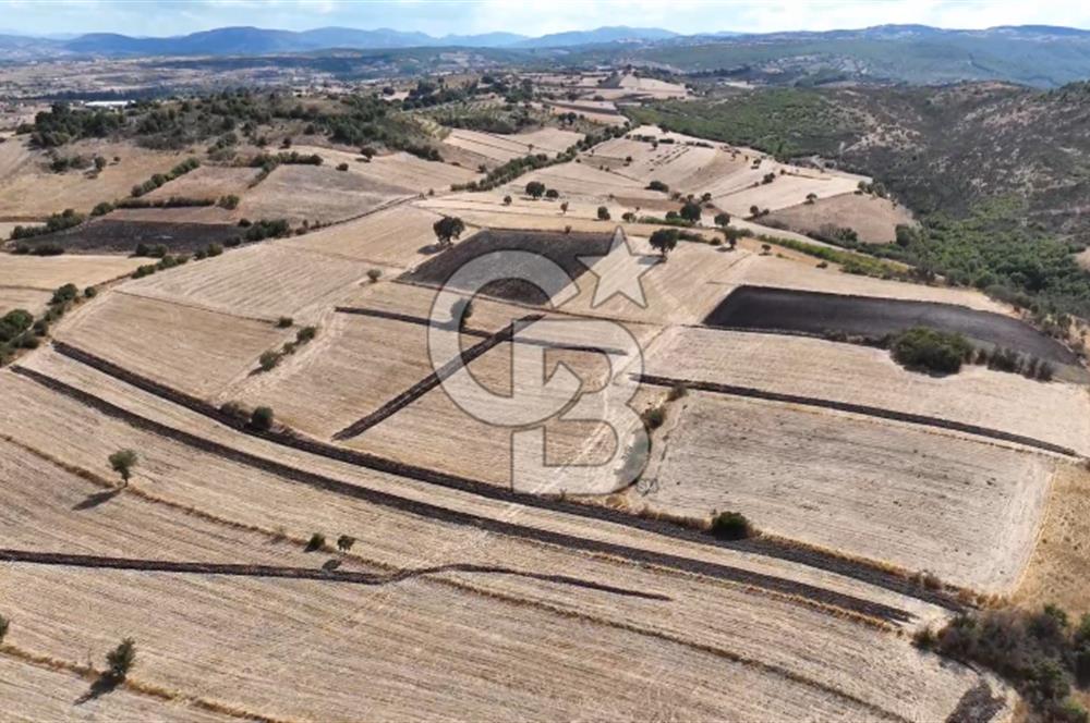 BALIKESİR CİNGE DE FIRSAT ARSA KÖYLERE ÇOK YAKIN VERİMLİ ARAZİ