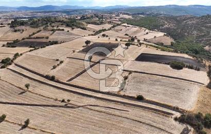 BALIKESİR CİNGE DE FIRSAT ARSA KÖYLERE ÇOK YAKIN VERİMLİ ARAZİ