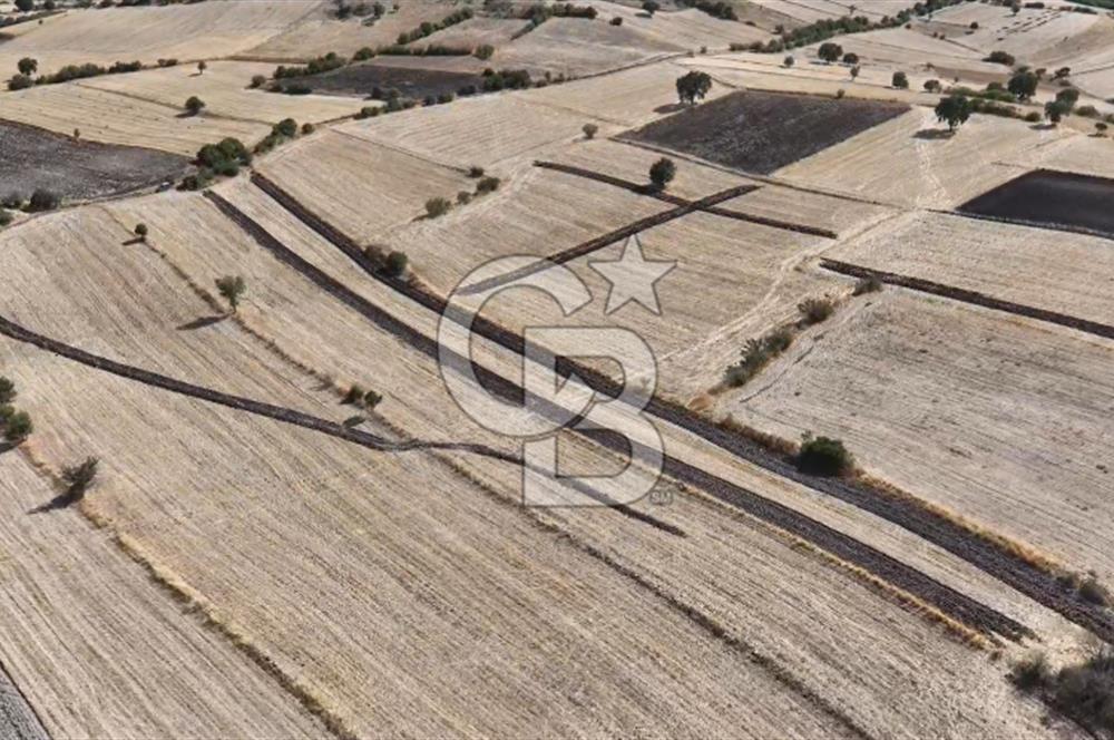 BALIKESİR CİNGE DE FIRSAT ARSA KÖYLERE ÇOK YAKIN VERİMLİ ARAZİ