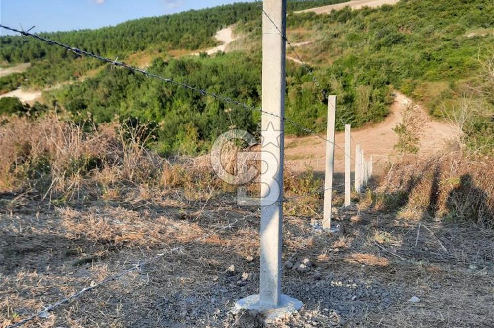 Çatalca Çanakça'da 3940 m2 Müstakil Tapulu Satılık Tarla