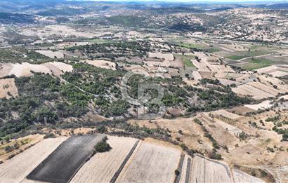 BALIKESİR CİNGE DE FIRSAT ARSA KÖYLERE ÇOK YAKIN VERİMLİ ARAZİ