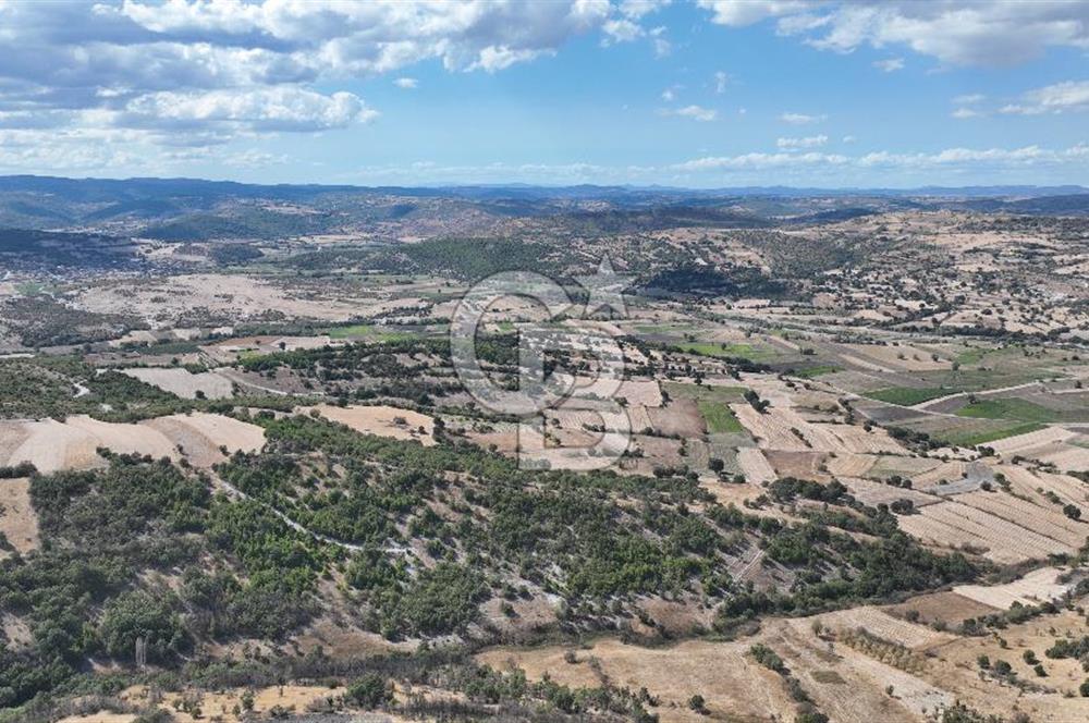 BALIKESİR CİNGE DE FIRSAT ARSA KÖYLERE ÇOK YAKIN VERİMLİ ARAZİ