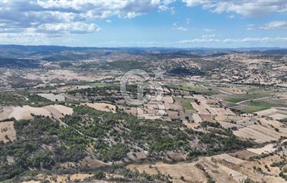 BALIKESİR CİNGE DE FIRSAT ARSA KÖYLERE ÇOK YAKIN VERİMLİ ARAZİ