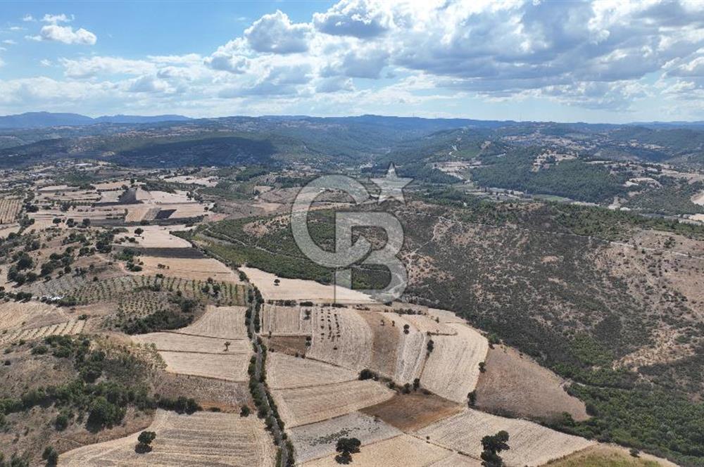 BALIKESİR CİNGE DE FIRSAT ARSA KÖYLERE ÇOK YAKIN VERİMLİ ARAZİ